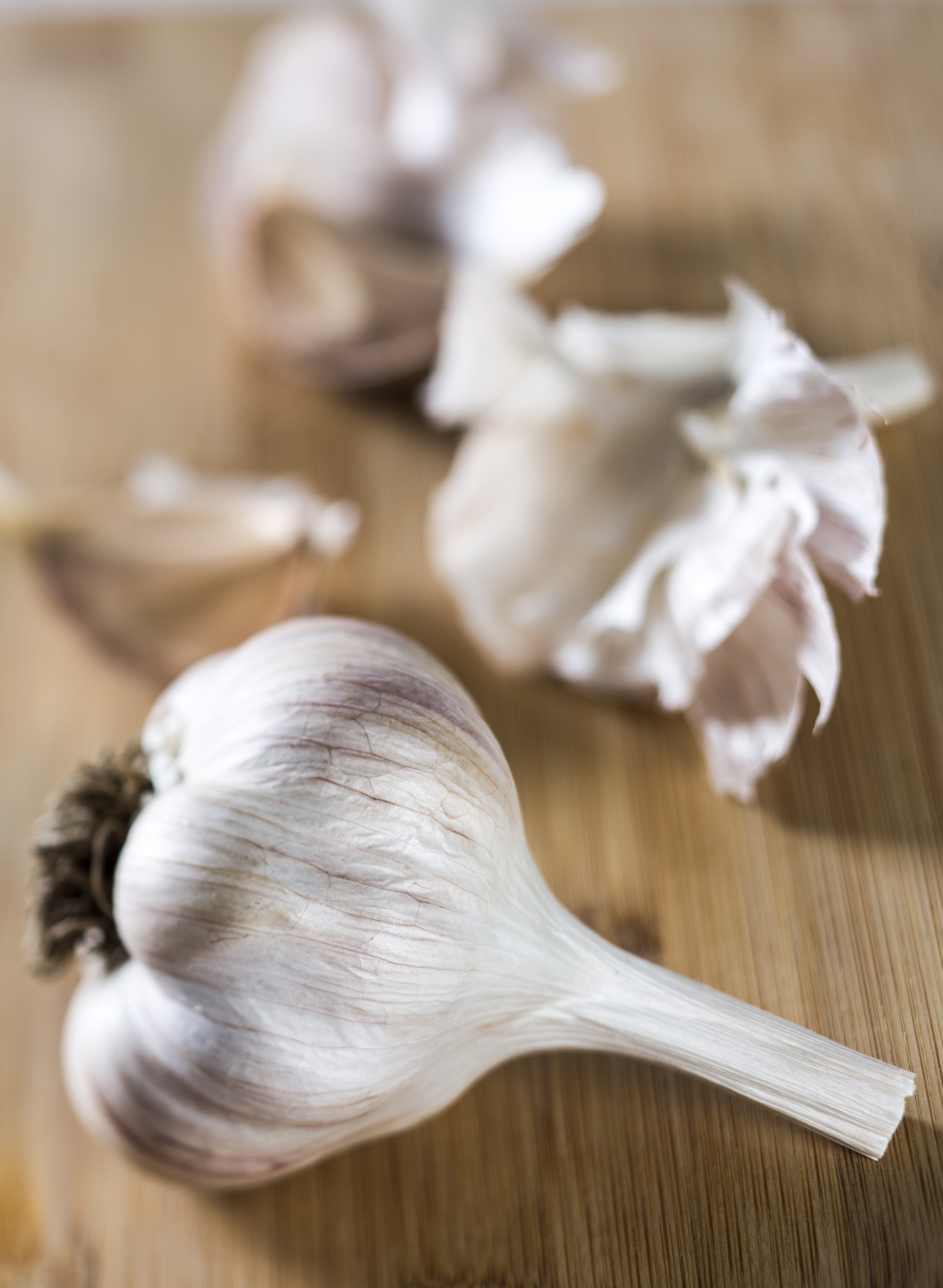 2018 Garlic exhibit