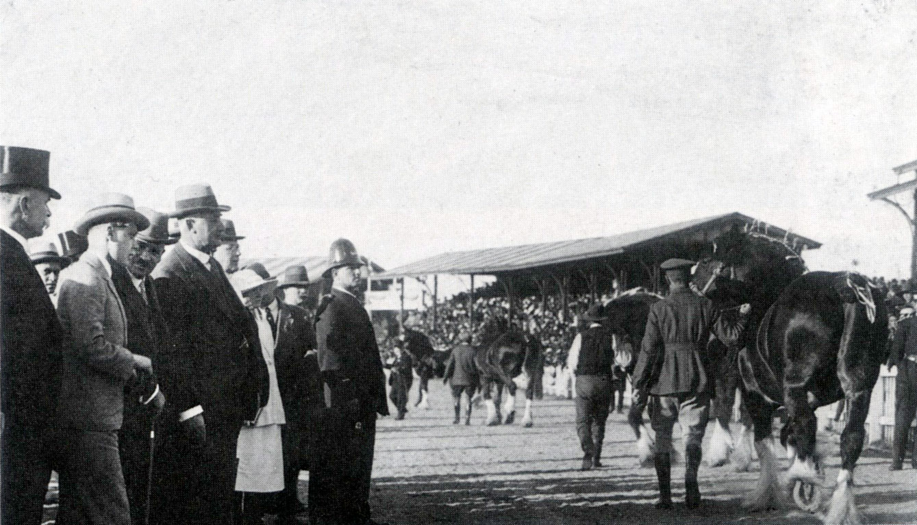The Prince of Wales watches the parade of Clydesdales on the main arena, Melbourne Showgrounds 1920