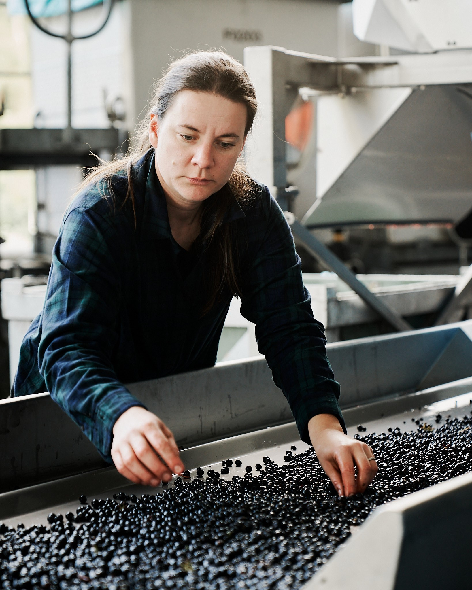 Ms Chester is the Head of Winemaking and Vineyards at Giant Steps in the Yarra Valley