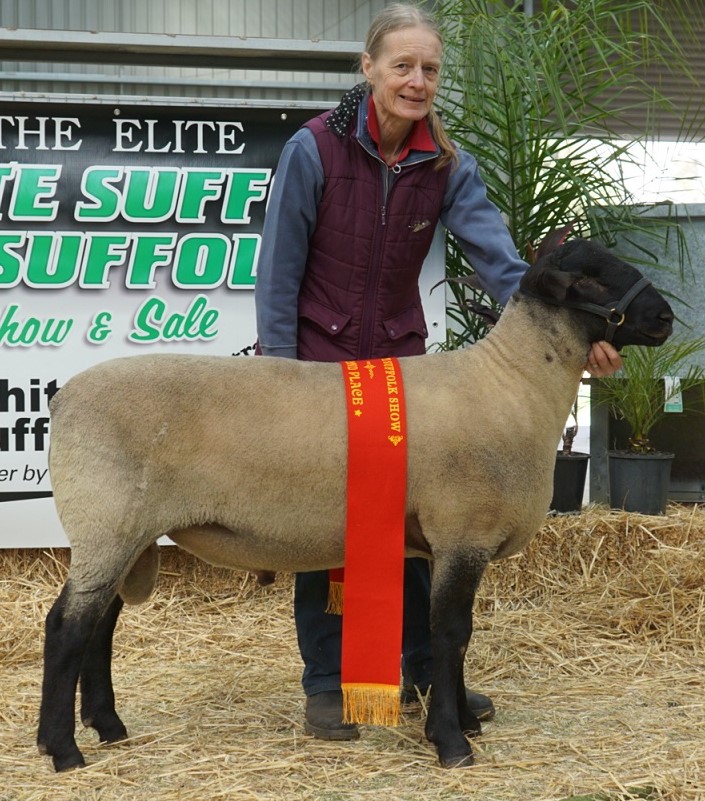 Lorelle Deppeler at Bendigo Elite Show and Sale pictured with a ram which is arguably the most successful sire in the stud’s 53-year history as of 2023.