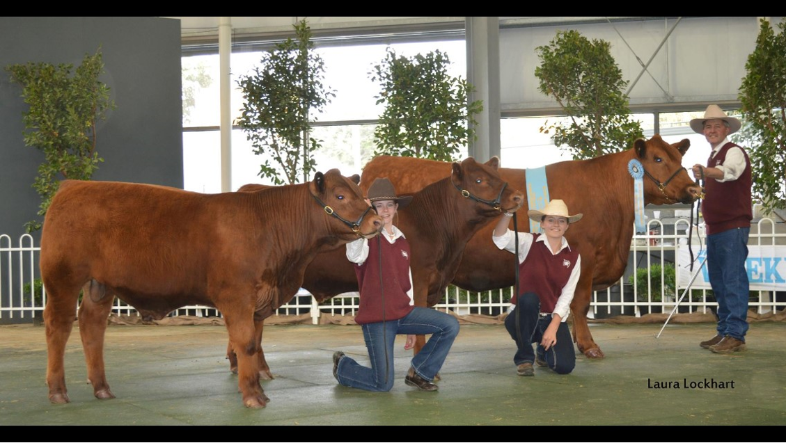 Olivia, Aimee and David winning the Interbreed Female Champion in 2014.