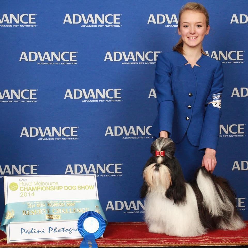 Destiny took out the reserve champion with her Shih Tzu.