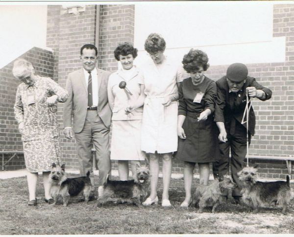 Patricia Connor (fourth from left) in 1968 at the Australian Terrier Club of Victoria Championship Show.