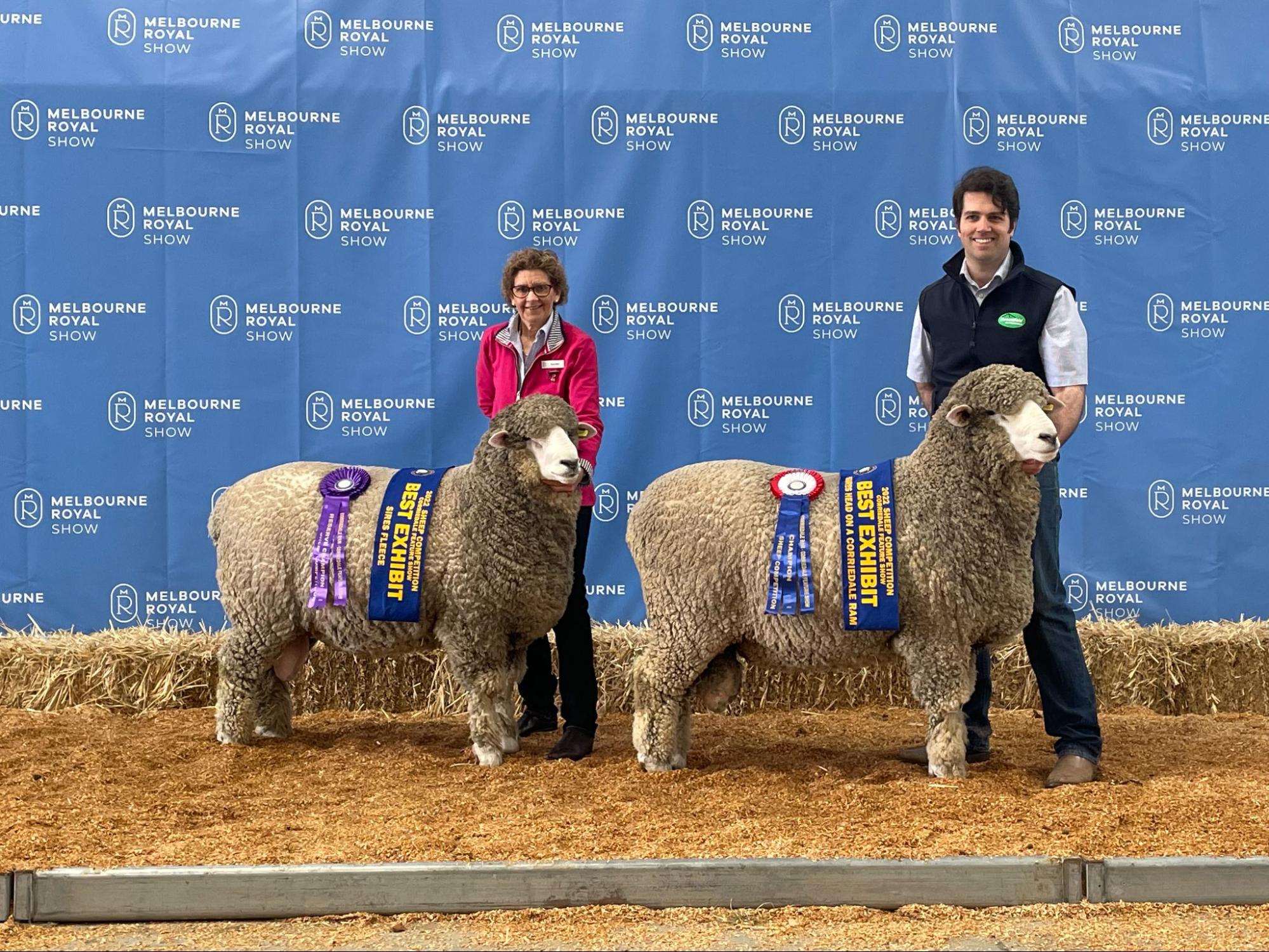 Mrs Ellis with her Reserve Champion at the Melbourne Royal Corriedale Feature Show, 2022.