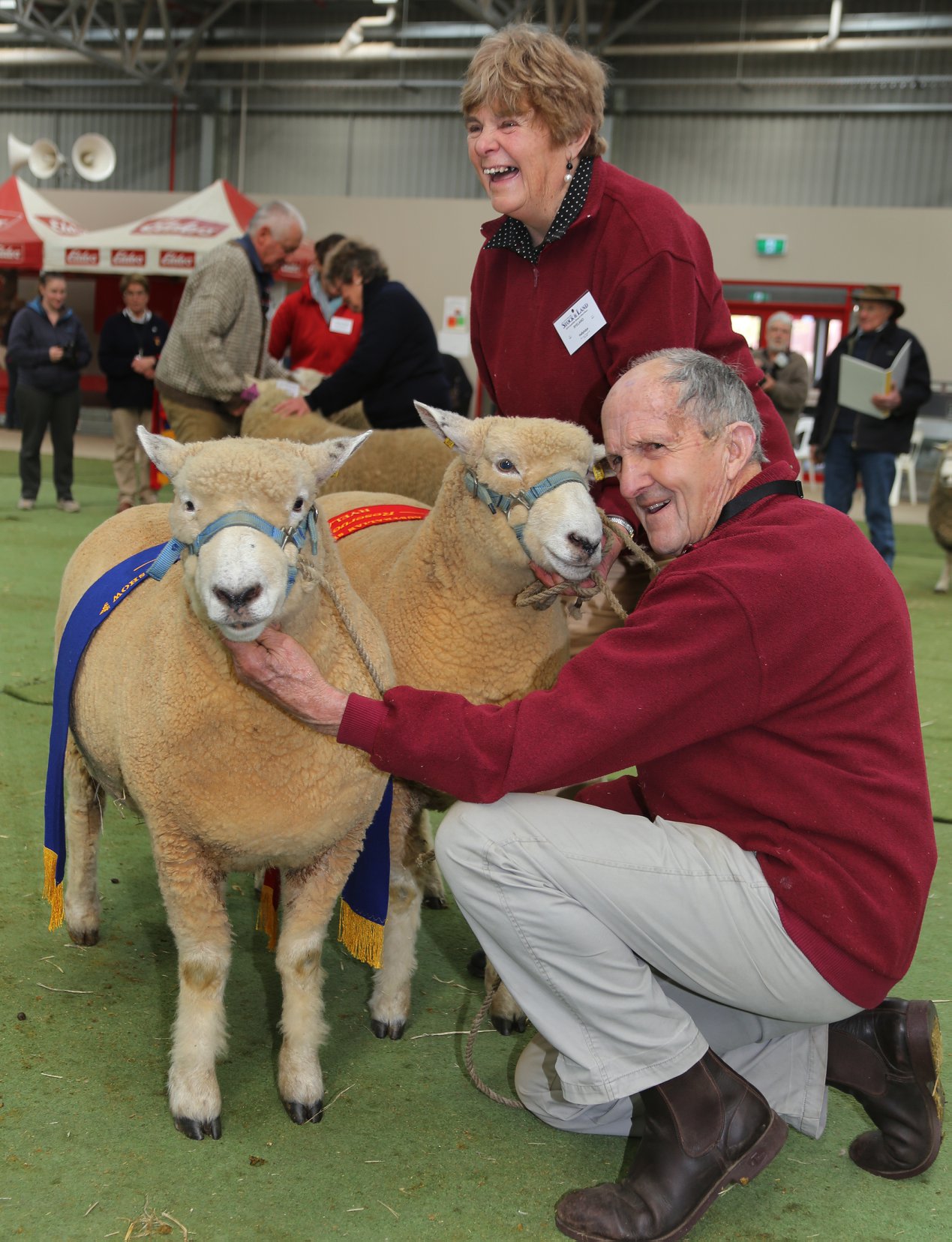 Des and Marilyn Stevens with their champion and reserve champion ewes. Source - Australian Sheep Magazine FB page.