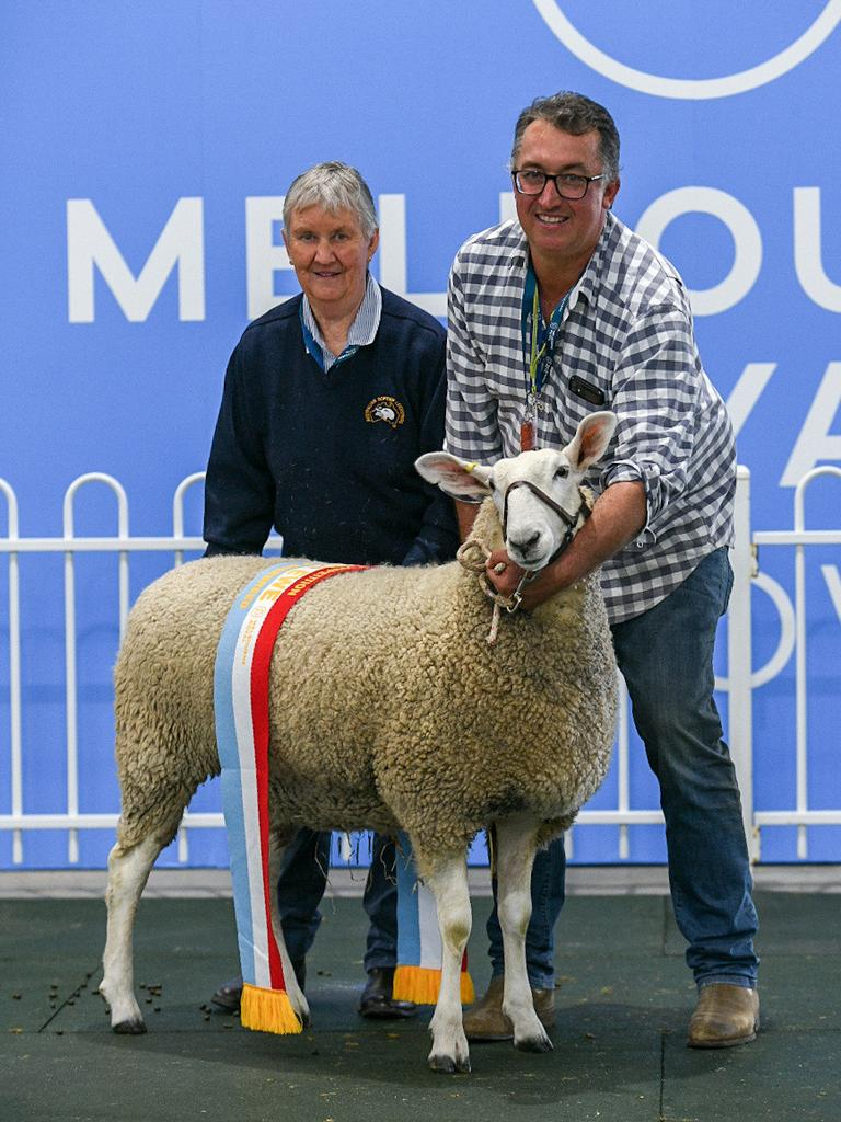 Mrs Stoney after winning supreme ewe at the Melbourne Royal Show in 2022.