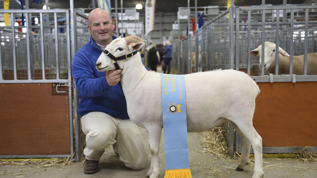 Jason O’Loghlin of O’Loghlin Wiltshire Horn Sheep Stud with his feature breed supreme exhibit ewe at the Royal Melbourne Show in 2019. The ewe also claimed the title of champion Wiltshire Horn ewe.