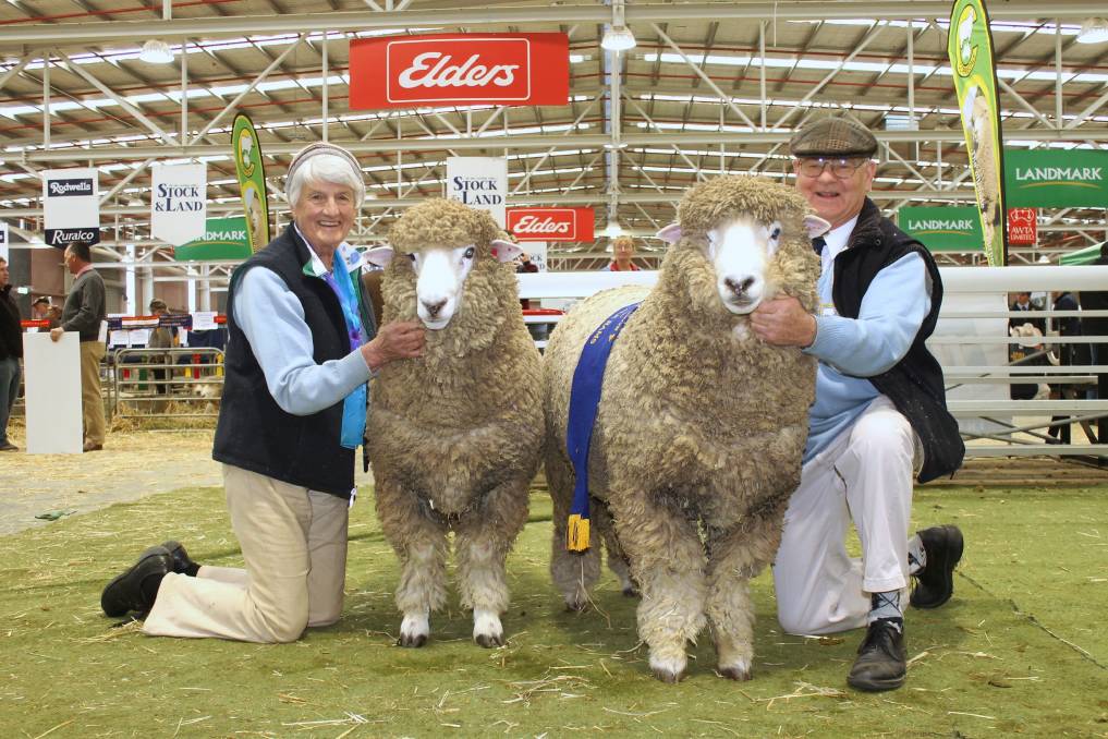 Brenda and Jim Venters with their winning national pair of Corriedale rams at the Australian Wool and Sheep Show in Bendigo in 2015. They were also named most successful exhibitor. (The ram on the right also won junior champion ram in the open classes). Source: Stock & Land